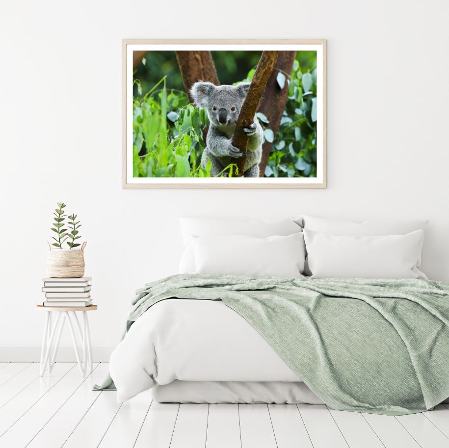 Koala Bear on Tree Photograph Home Decor Premium Quality Poster Print Choose Your Sizes