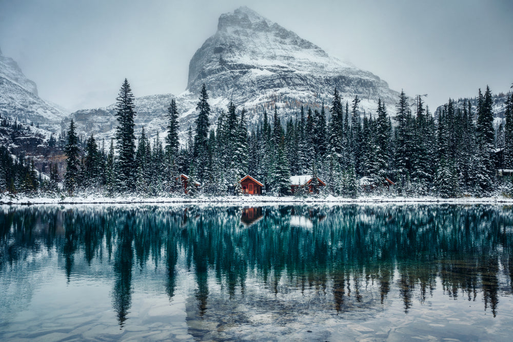 Lake & Forest Scenery Photograph Home Decor Premium Quality Poster Print Choose Your Sizes