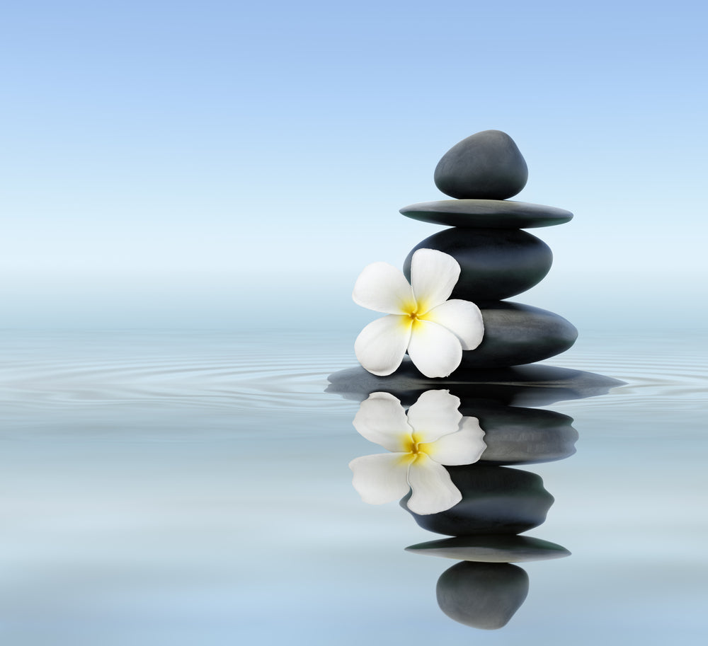 Square Canvas Flower & Zen Stones On Water Photograph High Quality Print 100% Australian Made