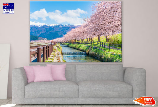 Blossom Trees Alone Canal View Print 100% Australian Made