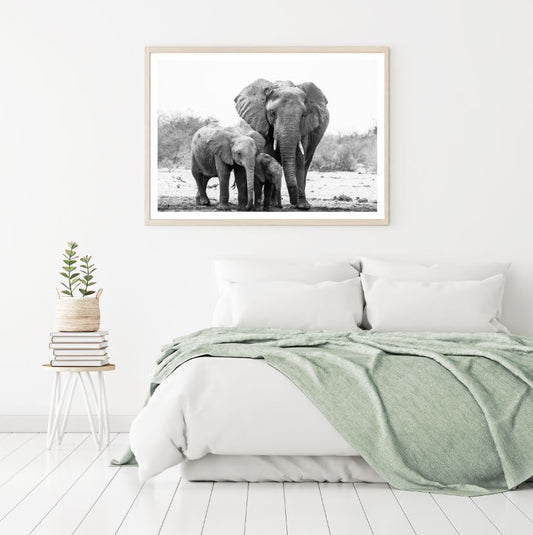 Elephants B&W Photograph Home Decor Premium Quality Poster Print Choose Your Sizes