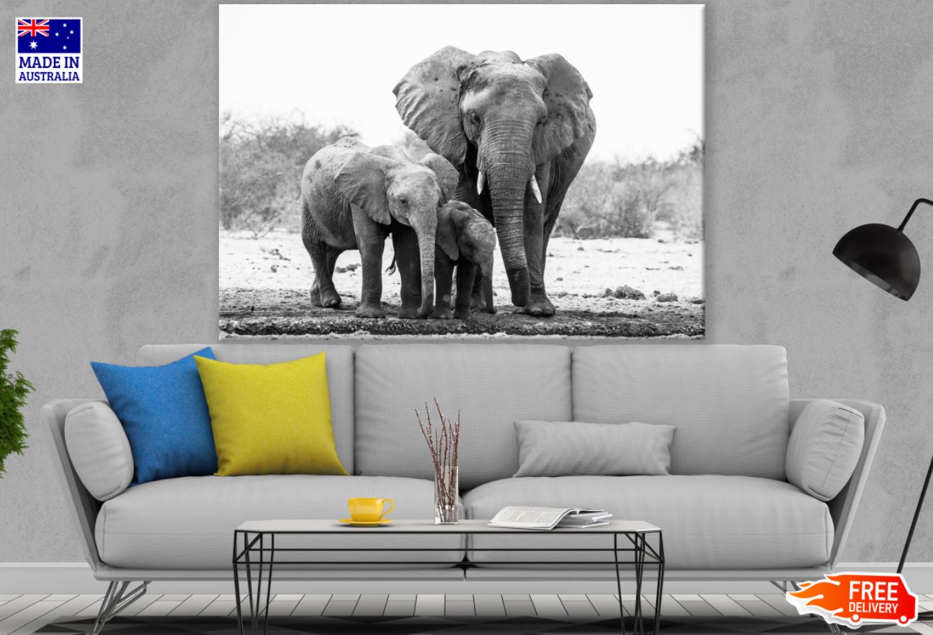 Elephant Family B&W Photograph Print 100% Australian Made
