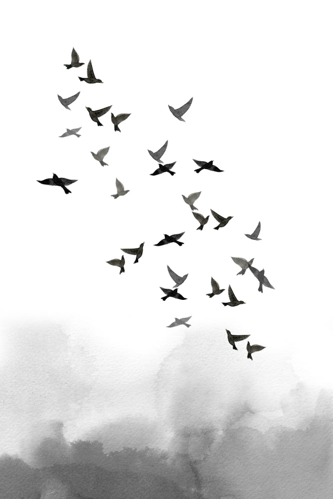 Bird Flying B&W Watercolor Painting Print 100% Australian Made