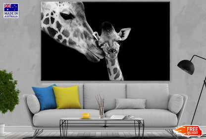 Giraffe & Calf Portrait B&W Photograph Print 100% Australian Made