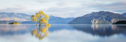 Panoramic Canvas Tree in Lake Scenic High Quality 100% Australian Made Wall Canvas Print Ready to Hang