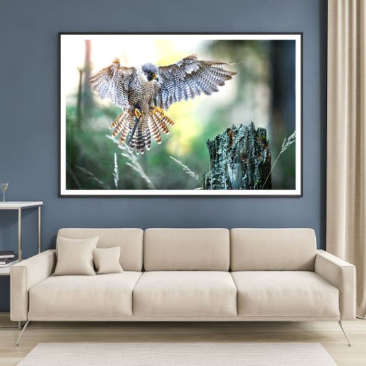 Flying Falcon Photograph Home Decor Premium Quality Poster Print Choose Your Sizes