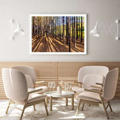 Trees Forest Scenery Photograph Home Decor Premium Quality Poster Print Choose Your Sizes