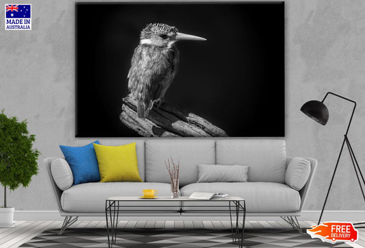 Kingfisher Bird B&W Photograph Print 100% Australian Made