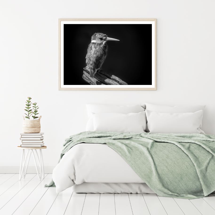 Kingfisher Bird B&W Photograph Home Decor Premium Quality Poster Print Choose Your Sizes