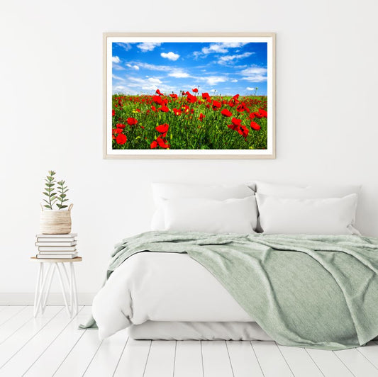 Red Poppy Flowers Field Scenery Home Decor Premium Quality Poster Print Choose Your Sizes