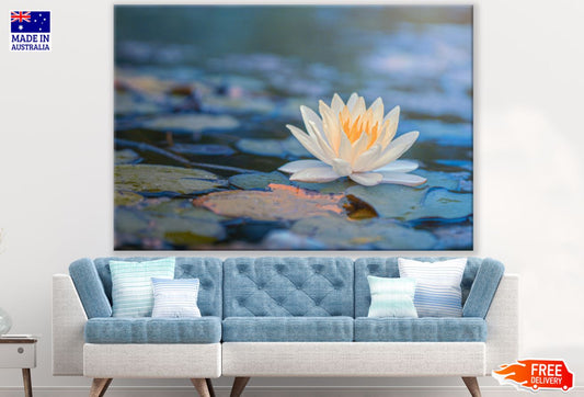 Lotus Flower on Water Photograph Print 100% Australian Made