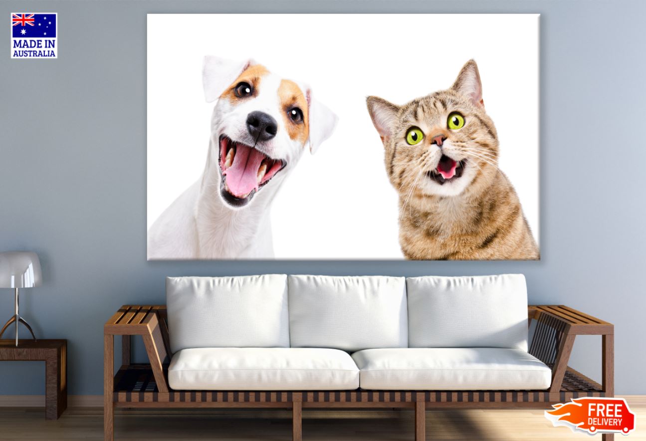 Dog & Cat Portrait Photograph Print 100% Australian Made