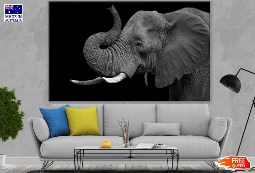 Elephant Portrait B&W Photograph Print 100% Australian Made