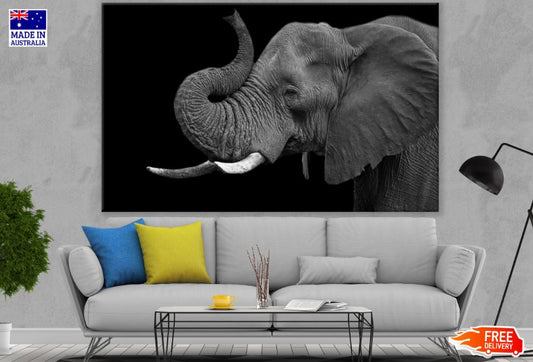 Elephant Portrait B&W Photograph Print 100% Australian Made