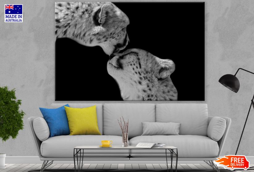 Cheetah Couple Portrait B&W Photograph Print 100% Australian Made