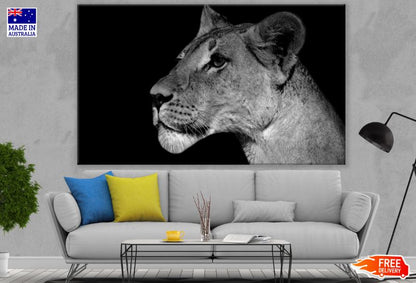 Lioness Portrait B&W Photograph Print 100% Australian Made