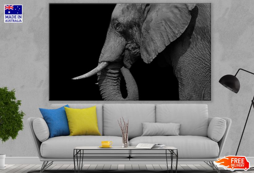 Elephant Portrait B&W Photograph Print 100% Australian Made