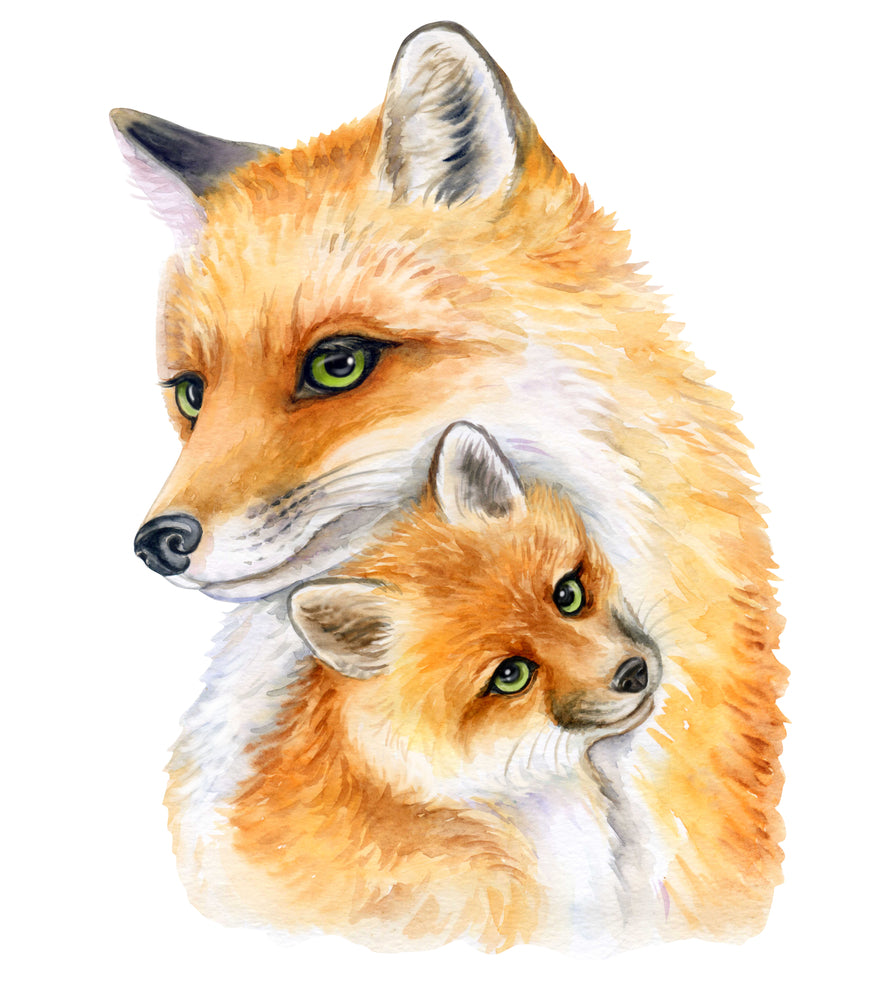 Square Canvas Fox & Cub Watercolor Painting High Quality Print 100% Australian Made