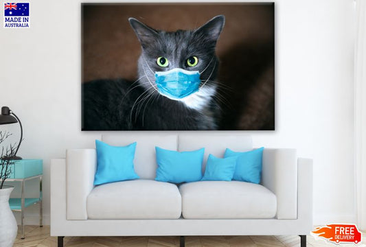 Cat Wearing a Mask Photograph Print 100% Australian Made