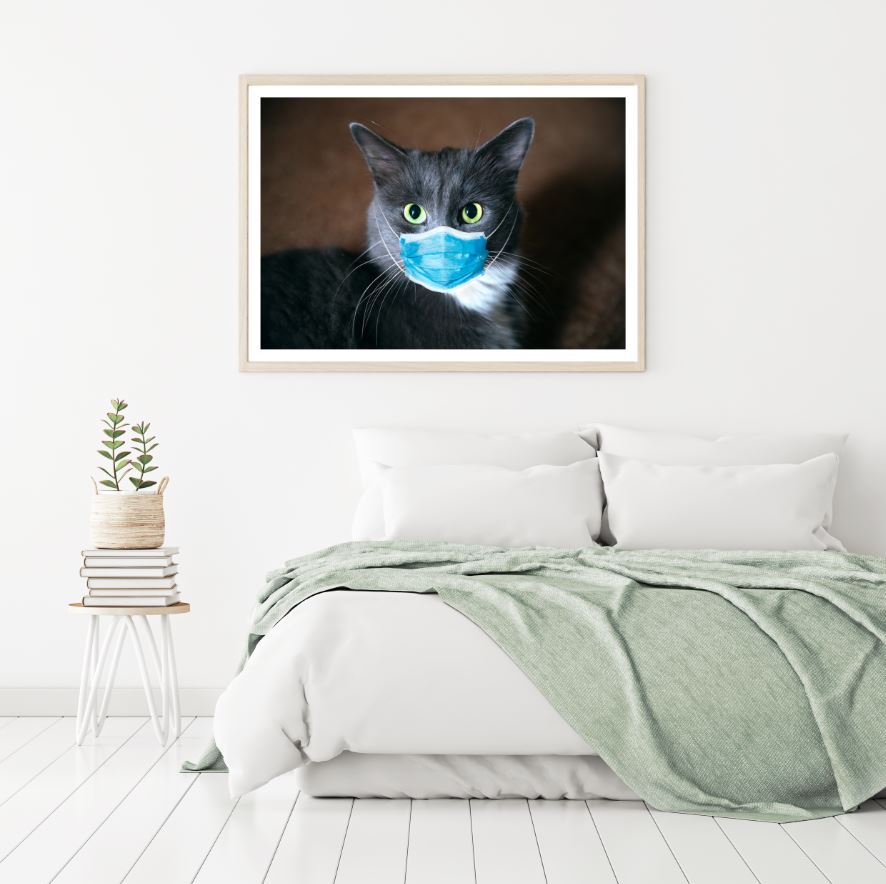 Cat with Mask Portrait Photograph Home Decor Premium Quality Poster Print Choose Your Sizes