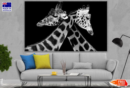 Giraffes Portrait B&W Photograph Print 100% Australian Made