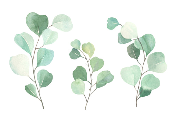 Eucalyptus Plants Painting Print 100% Australian Made