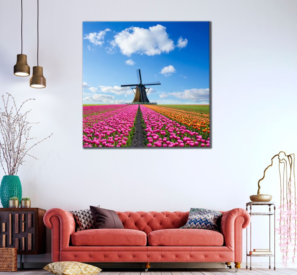 Square Canvas Tulip Flower Field & Wind Mill Scenery Photograph High Quality Print 100% Australian Made