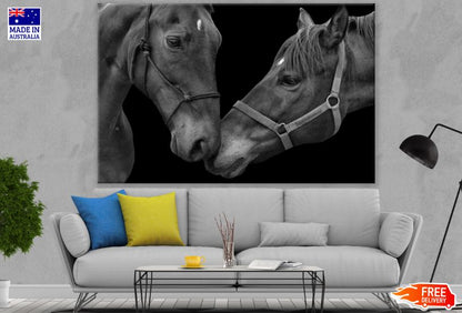 Horses Portrait B&W Photograph Print 100% Australian Made