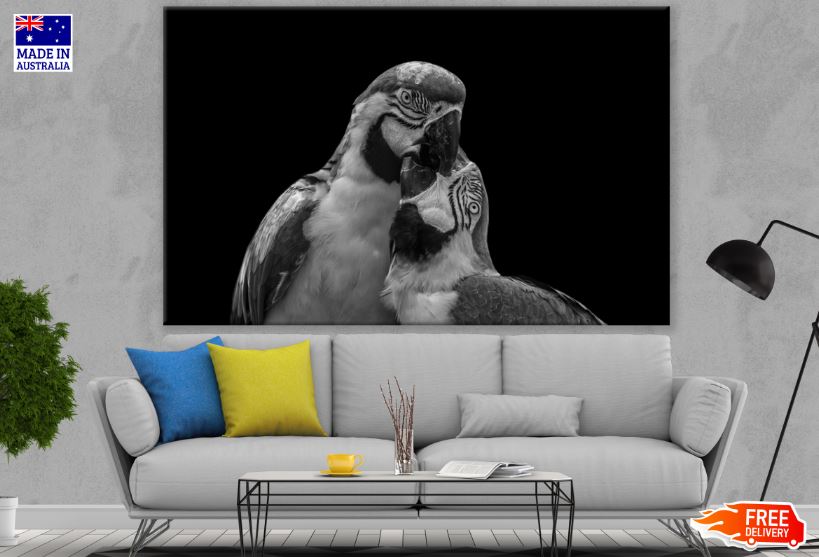 Parrots B&W Photograph Print 100% Australian Made