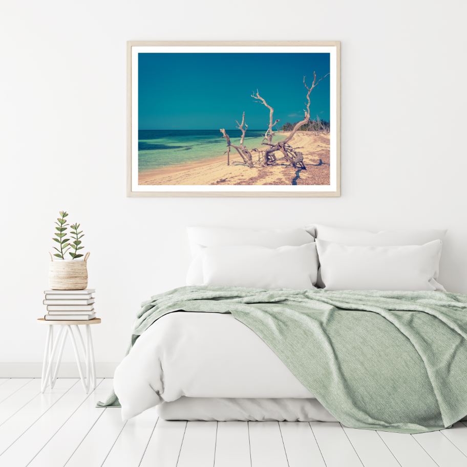 Dead Tree on Beach Photograph Home Decor Premium Quality Poster Print Choose Your Sizes