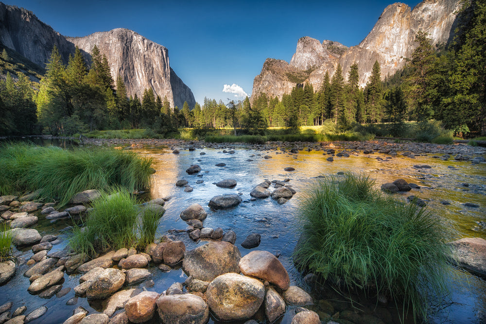 Beautiful Water Stream & Forest With Mountain View Photograph Print 100% Australian Made