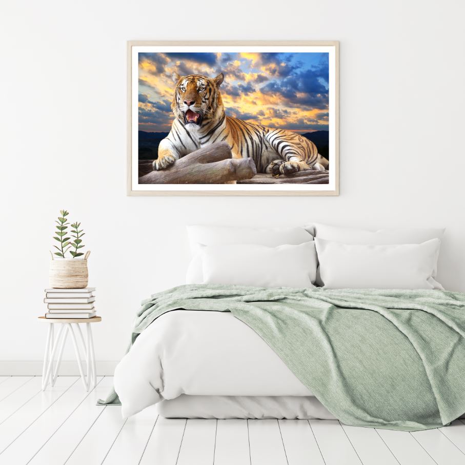 Tiger Sitting on Trunk Photograph Home Decor Premium Quality Poster Print Choose Your Sizes