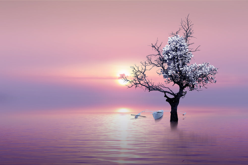 Tree in Lake at Sunset Scenery Home Decor Premium Quality Poster Print Choose Your Sizes