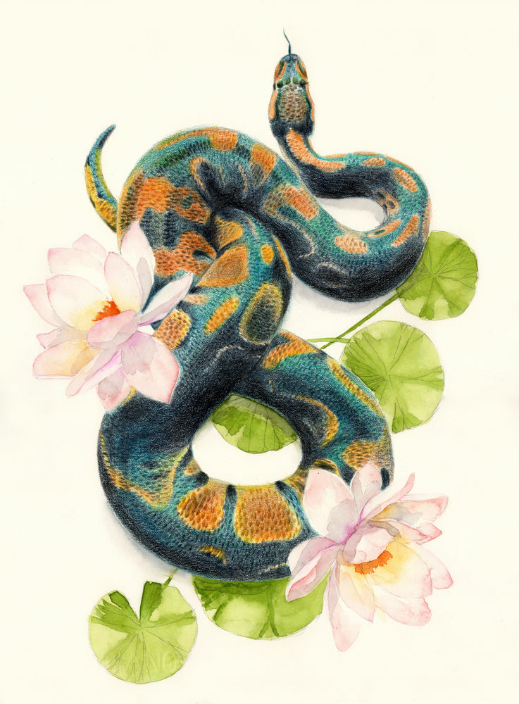 Outlet Green Garter Snake and Rose Blooms - oil painting on canvas