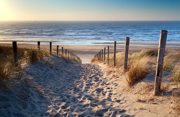 Path to Beach Shoreline Photograph Print 100% Australian Made