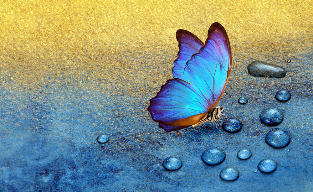 Butterfly & Waterdrops Digital Print 100% Australian Made