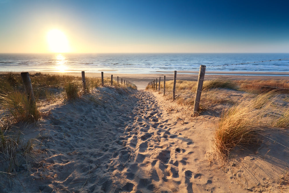 Zandvoort beach Sunset Sand Print 100% Australian Made