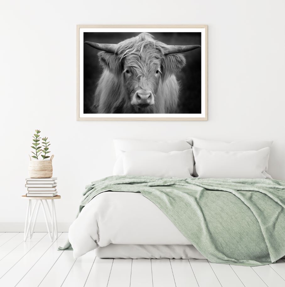 Highland Cow B&W Photograph Home Decor Premium Quality Poster Print Choose Your Sizes