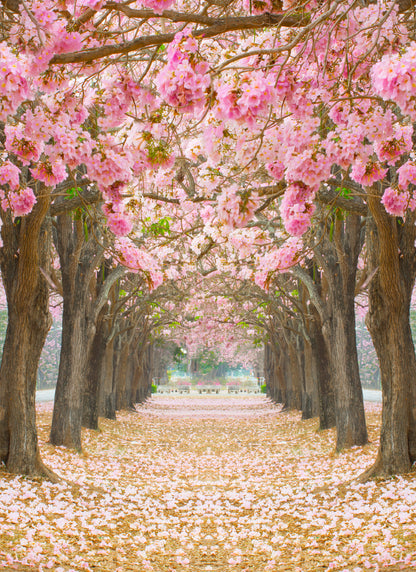 Blossom Trees in Park Photograph Print 100% Australian Made