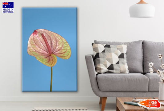 Anthurium Flower Closeup Photograph Print 100% Australian Made