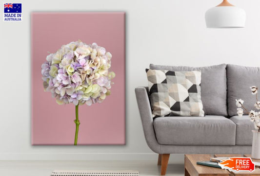 Hydrangea Pink & Purple Flowers Photograph Print 100% Australian Made