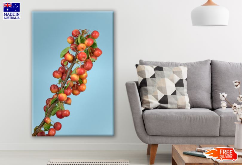 Coffee Beans Photograph Print 100% Australian Made