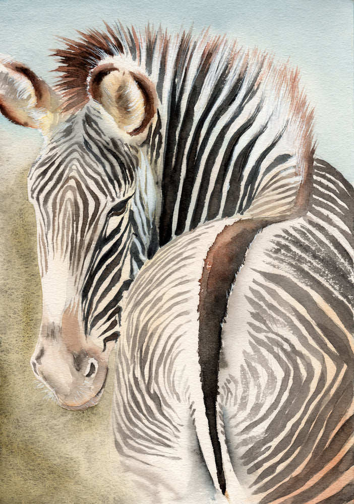 Zebra Watercolor Painting Print 100% Australian Made