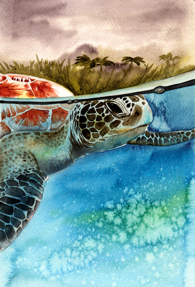 Turtle Under Water Watercolor Painting Print 100 Australian Made