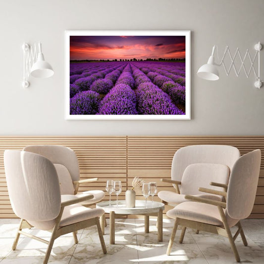 Lavender Field Scenery Photograph Home Decor Premium Quality Poster Print Choose Your Sizes