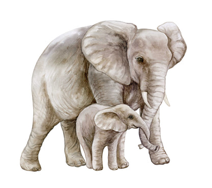 Square Canvas Elephant & Baby Watercolor Painting High Quality Print 100% Australian Made