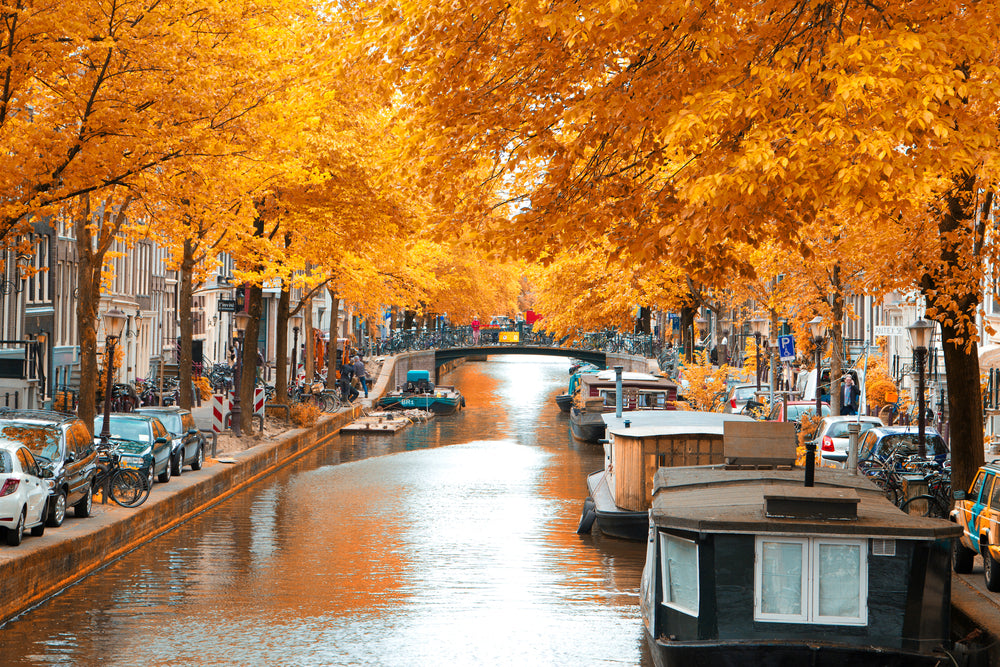 Boats on Canal in City Photograph Print 100% Australian Made