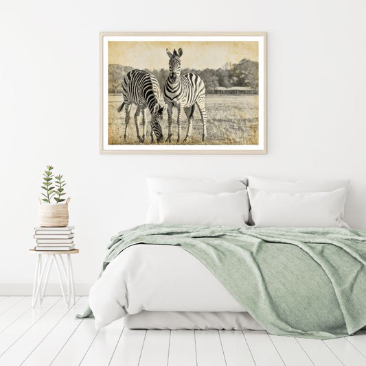 Zebras Vintage Photograph Home Decor Premium Quality Poster Print Choose Your Sizes