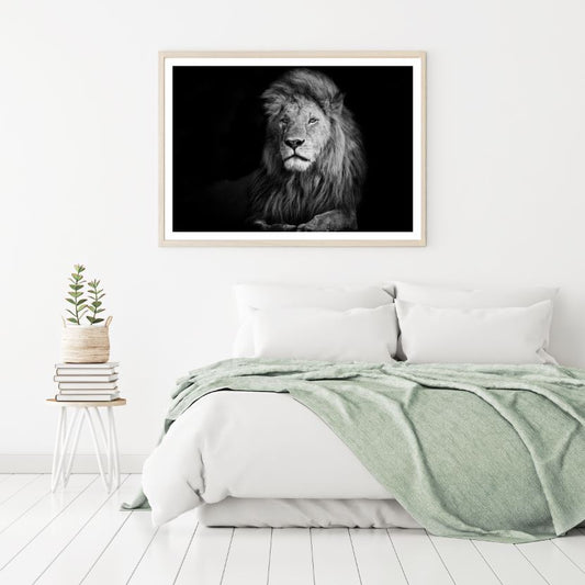 Lion Portrait B&W Photograph Home Decor Premium Quality Poster Print Choose Your Sizes