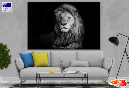 Lion Portrait B&W Photograph Print 100% Australian Made